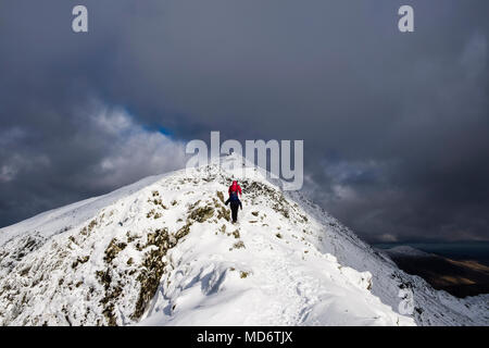 Gli escursionisti escursionismo in salita sulla cresta sud a Bwlch principale a cima di Mount Snowdon con la neve in inverno nel Parco Nazionale di Snowdonia. Gwynedd Wales UK Gran Bretagna Foto Stock
