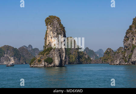 Caffè cespugli che crescono in campagna fuori Dalat, Vietnam Foto Stock