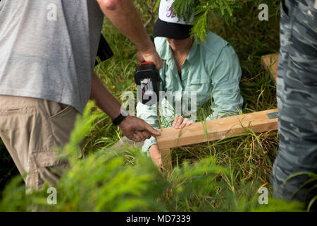 Eric VanderWerf, un biologo con la Pacific Rim Conservazione, installa una trappola booby bird in cima Ulupa'u cratere, gamma Training Facility, Marine Corps base Hawaii, Marzo 15, 2018. Ambientali di base ha collaborato con la Pacific Rim Conservazione, U.S. Pesci e fauna selvatica, servizio e Oikonos nel tentativo di riposizionare rosso-footed Booby uccelli marini. I maniaci e gli altoparlanti sono posti su alberi in allontanamento dalla zona di cottura in modo che gli Stati Uniti Marines saranno in grado di formare, producono la prontezza e minimizzare l'impatto di questo federalmente specie protette. (U.S. Marine Corps foto di Sgt. Zachary Orr) Foto Stock