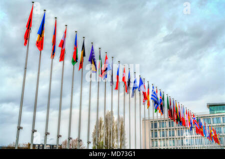 Bandiere degli Stati membri del Consiglio d Europa a Strasburgo, Francia Foto Stock