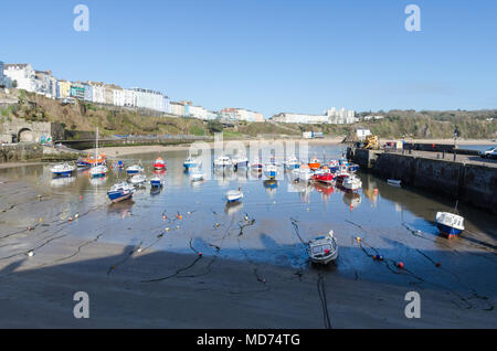 Barche da pesca e le imbarcazioni da diporto ormeggiata a bassa marea in Tenby Porto di Pembrokeshire, Galles Foto Stock