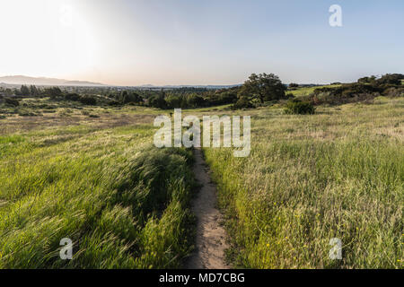 Prato primavera il sentiero sul bordo di Los Angeles in California a Santa Susana Pass State Historic Park in San Fernando Valley Ovest area. Foto Stock