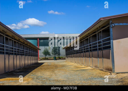 Fila di stalle per cavalli di fronte Arena Foto Stock