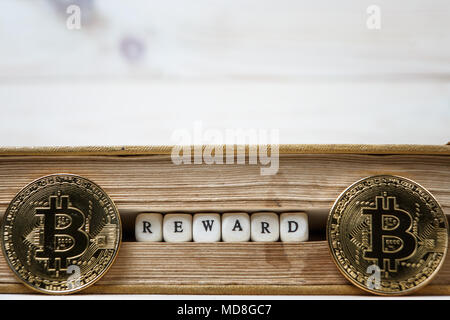 Premio Parola scritta in blocchi di legno nel libro e bitcoin Foto Stock