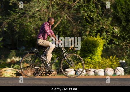 Un ciclista cavalca un roadster tradizionale stile di bicicletta, comunemente chiamato "Black Mamba' in Africa orientale. Anche se sono ancora una visione comune, essi Foto Stock