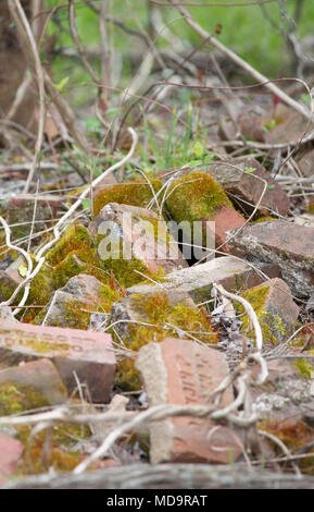 Disheveled mucchio di mattoni in un luogo abbandonato Foto Stock