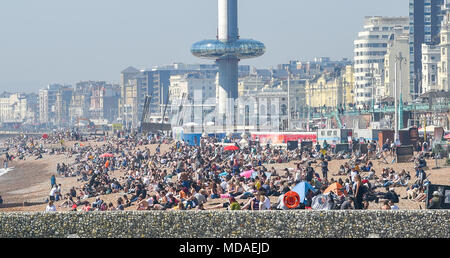 Brighton Regno Unito 19 aprile 2018 - la spiaggia di Brighton è imballato come i visitatori godere il caldo sole di oggi con il i360 torre in background. Il caldo clima soleggiato è impostata per continuare in tutta la Gran Bretagna con temperature attese per raggiungere l'alta venti in alcune parti del Sud Est Credito: Simon Dack/Alamy Live News Foto Stock