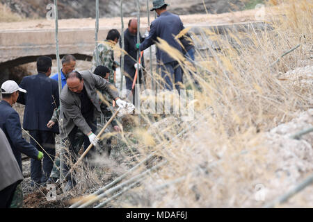 (180419) -- JIUQUAN, 19 aprile 2018 (Xinhua) -- la gente piantare alberi lungo la zona di bordo del deserto per la prossima Giornata della Terra a Suzhou distretto della città di Jiuquan, a nord-ovest della Cina di Provincia di Gansu, 19 aprile 2018. La Giornata della Terra è un evento annuale festeggiato il 22 aprile. (Xinhua/Chen Bin) (zyd) Foto Stock