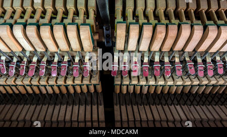 Pianoforte meccanismi interiori macro closeup Foto Stock