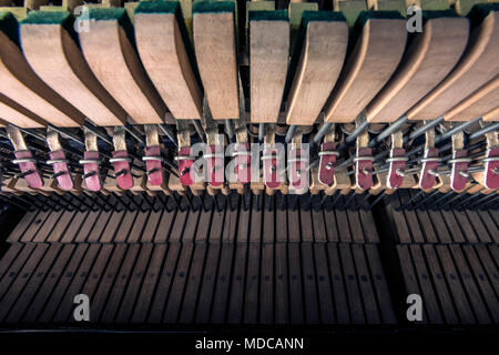 Pianoforte meccanismi interiori macro closeup Foto Stock