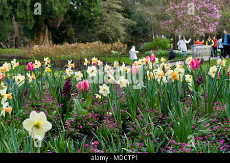 Bellissimi fiori di primavera a Stanley Park a Vancouver in Canada. Le persone che si godono le fioriture primaverili nel Parco di Stanley. Foto Stock