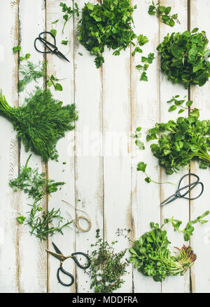 Flat-lay di grappoli di varie erbette verdi. Prezzemolo, menta, aneto, il coriandolo, rosmarino, timo su sfondo di legno, vista dall'alto, copia spazio, vertica Foto Stock