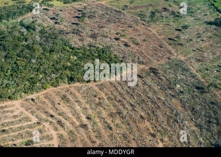 La deforestazione nello stato del Mato Grosso do Sul, Brasile Foto Stock