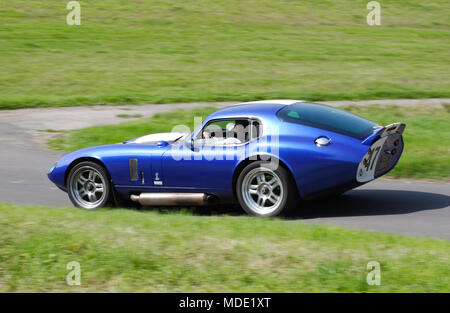 Blue Shelby Cobra Daytona 427 coupe raro American sports car guida veloce Foto Stock