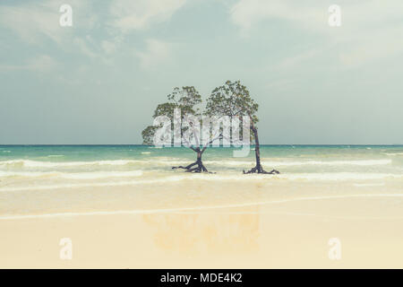 Lonely mangrove tree in argilla, in stile retrò. Bellissimi alberi di mangrovia con lussureggianti corona di latifoglie in acqua di mare su una spiaggia pulita sullo sfondo di t Foto Stock