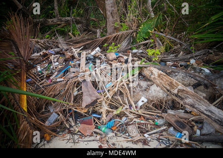 Garbage pila deposito rami legno, catasta di legno e bottiglie di plastica i rifiuti e i detriti galleggianti sulla superficie di acqua al fiume di acqua sporca, problema del cestino Foto Stock