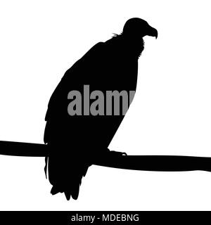 Silhouette di Eagle su sfondo bianco, illustrazione vettoriale Illustrazione Vettoriale