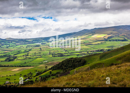 Campi coltivati nella Sierra ecuadoriana, la Cordigliera delle Ande, Machachi, Ecuador Foto Stock