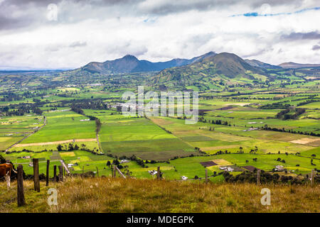 Campi coltivati nella Sierra ecuadoriana, la Cordigliera delle Ande, Machachi, Ecuador Foto Stock