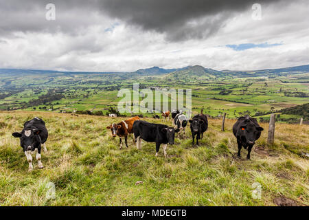 Campi coltivati nella Sierra ecuadoriana, la Cordigliera delle Ande, Machachi, Ecuador Foto Stock