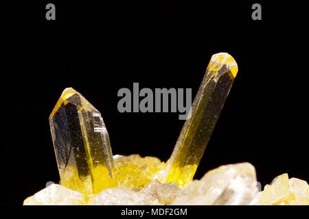 Coda di pesce giallo di cristalli di gesso Cluster. Macro Immagine del campione geologici. Regno Unito. Foto Stock