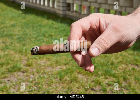 Una mano d'uomo in possesso di un sigaro di masterizzazione con un prato sfocata e un muro di mattoni in background in una giornata di sole Foto Stock