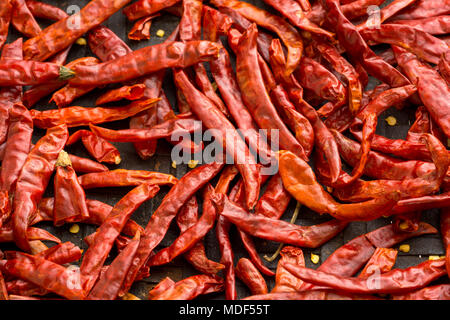 Sun-essiccato peperoncino nel cestello di trebbiatura. Foto Stock