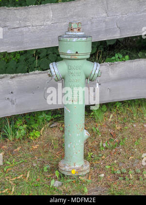 Green idrante di fuoco in una foresta a Titisee, Neustadt, (Foresta Nera Schwarzwald), Baden-Württemberg, Germania Foto Stock