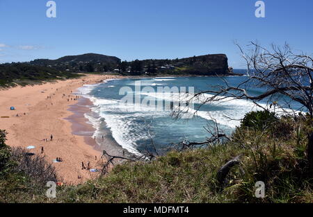 Vista panoramica di Avalon Beach in una giornata di sole da Bilgola testa. Un ottimo posto per rilassarsi in spiaggia è principalmente frequentato da gente del posto. Foto Stock