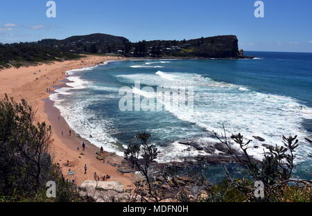 Vista panoramica di Avalon Beach in una giornata di sole da Bilgola testa. Un ottimo posto per rilassarsi in spiaggia è principalmente frequentato da gente del posto. Foto Stock