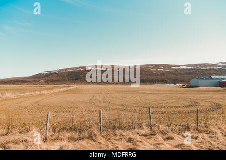 Campo nel nord della Norvegia in una giornata di sole Foto Stock