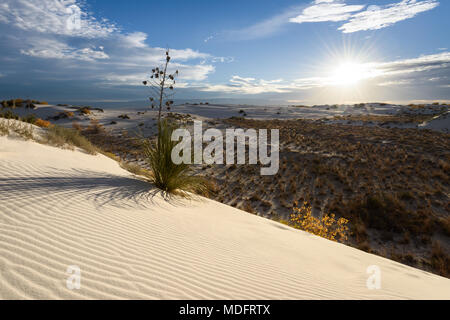 White Sands National Monument, Nuovo Messico, Stati Uniti Foto Stock