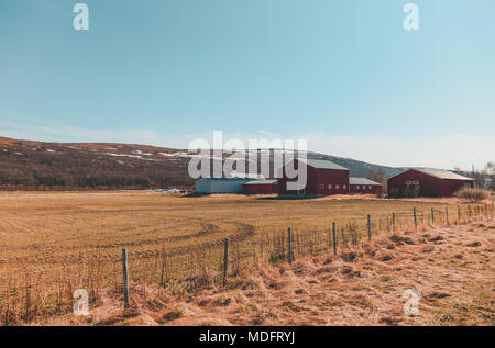 Campo nel nord della Norvegia in una giornata di sole Foto Stock