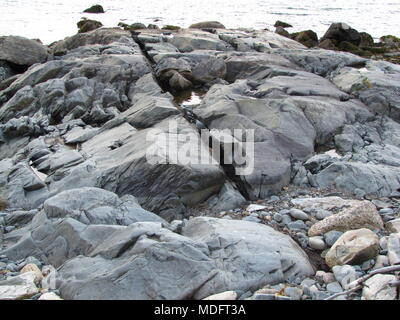 Schisi rock formazione lungo il litorale di ingresso Chezzetcook, Nova Scotia, Canada Foto Stock