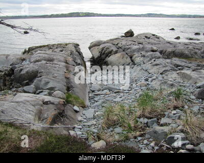 Schisi rock formazione lungo il litorale di ingresso Chezzetcook, Nova Scotia, Canada Foto Stock