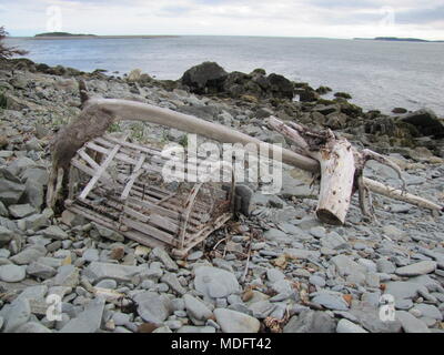 Trappola di aragosta e driftwood lavato fino sul litorale di ingresso Chezzetcook, Nova Scotia, Canada Foto Stock