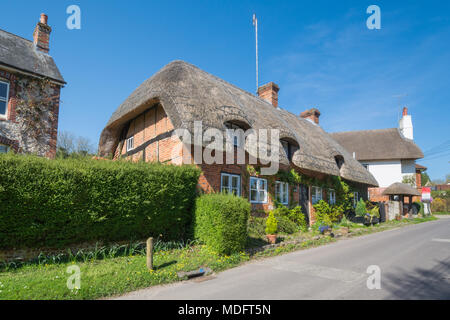 Cottages in un grazioso Street nel grazioso villaggio di Hampshire di Selborne, REGNO UNITO Foto Stock