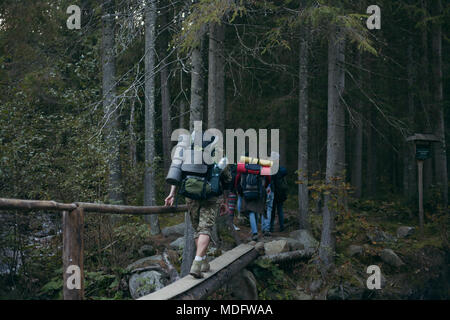 Quattro persone che attraversano un ponte di legno nella foresta, Ucraina Foto Stock