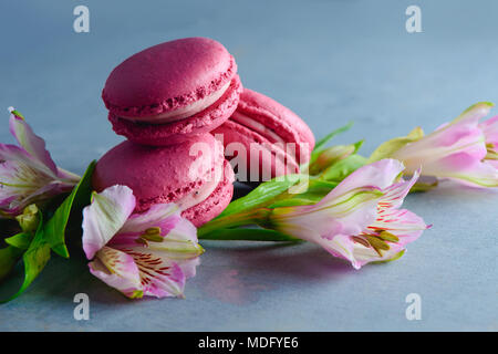 Rosa amaretto francese i cookie con alstroemeria rosa fiori su un sfondo di calcestruzzo con copia spazio. Dolcetti di San Valentino di close-up Foto Stock