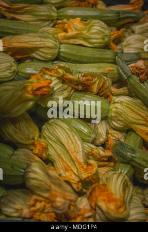 Close up le zucchine fresche o le zucchine con fiori. Spagna Foto Stock