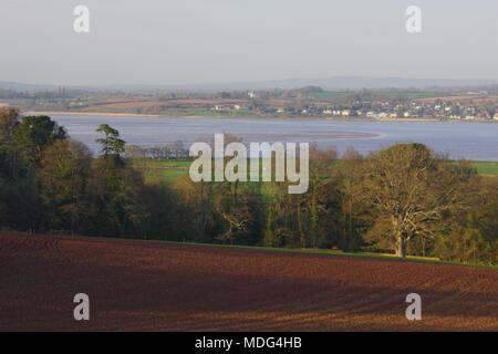 Ricco marrone Arata Farmland circondato da boschi di quercia dal Exe estuario. Powderham station wagon, Exeter, Devon, Regno Unito. Aprile, 2018. Foto Stock