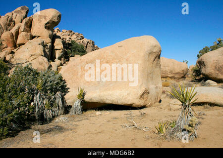 Massi e alberi di Joshua a Joshua Tree National Park, California. Foto Stock