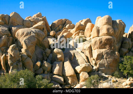 Splendida natura del Parco nazionale di Joshua Tree che è parte secca di Mojave Desert in California. Un sacco di rocce e cactus Foto Stock