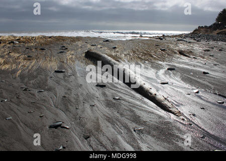 Driftwood log sulla lunga spiaggia, Lower East Chezzetcook, Nova Scotia, Canada Foto Stock