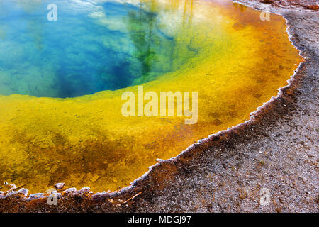 Close up i magici colori della gloria di mattina piscina causato da alghe e la differenza di temperatura all'interno del Parco Nazionale di Yellowstone, Wyoming negli Stati Uniti. Foto Stock