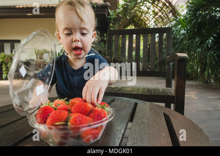 Little Boy tenendo di fragole fresche Foto Stock