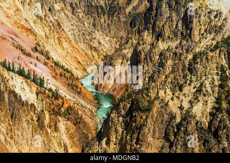 Paesaggio nel corso del Grand Canyon di Yellowstone con il fiume Yellowstone sotto all'interno del Parco Nazionale di Yellowstone, Wyoming negli Stati Uniti. Foto Stock