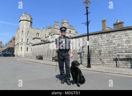 PC Andy Turner con il cane Toby da Thames Valley Police operazioni comuni unità di cane di pattuglia a Windsor in vista del prossimo mese di nozze del principe Harry e Meghan Markle. Foto Stock