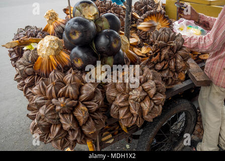 Un carrello pieno di mare noci di cocco e palme Nipa per la vendita sul ciglio della strada nella città di Ho Chi Minh, Vietnam. Foto Stock