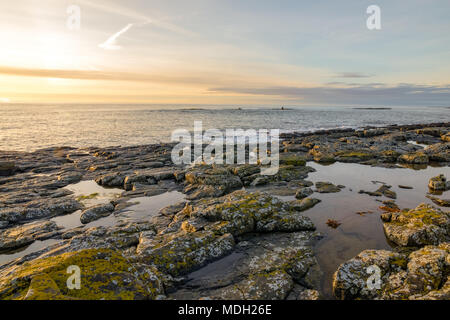 Sunrise a Craster, Northumberland Aprile 2018 Foto Stock